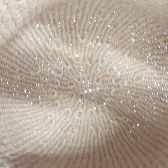 NWT Chloe Mifuko Tote Bag - Picture 8 of 9